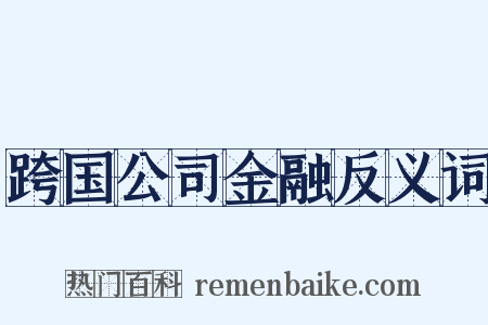 跨国公司金融反义词是什么意思的图片